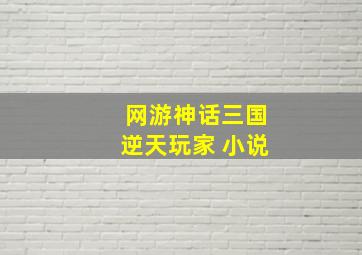 网游神话三国逆天玩家 小说